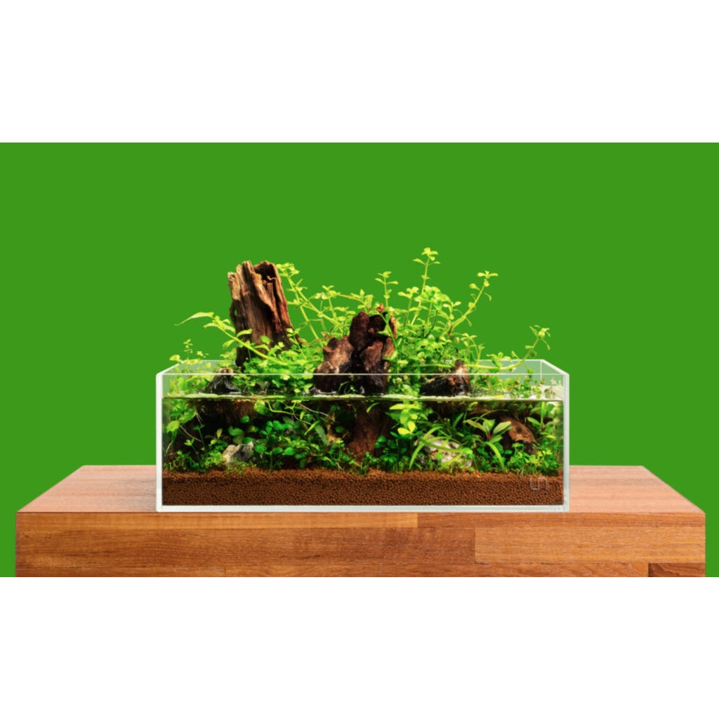 Ultum Nature Systems UNS Shallow Ultra Clear Rimless Tank