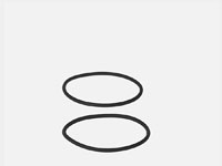Sealing ring (2 pcs.) for EHEIM universal 2400/3400/4500