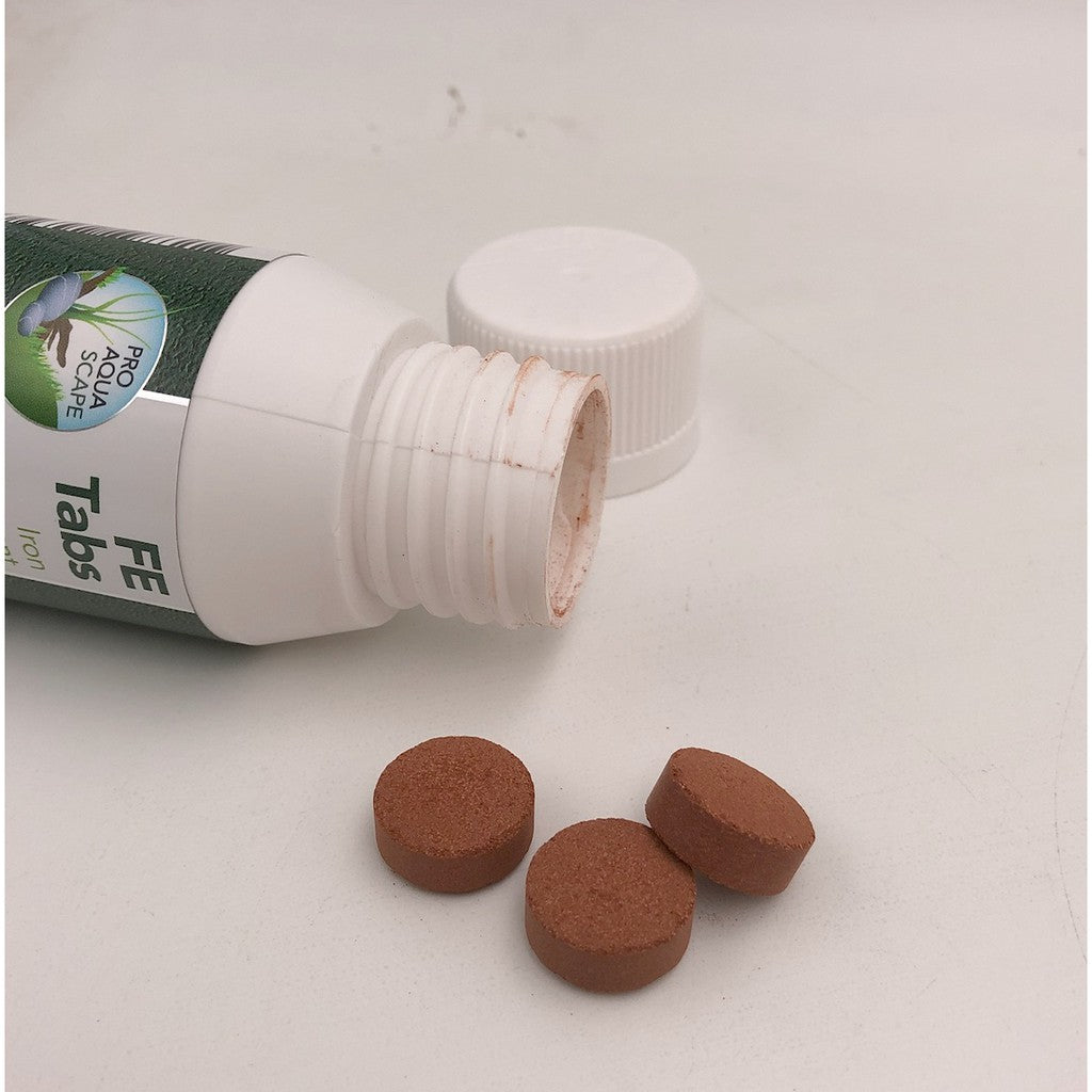 FE Tabs (10 Iron tablets) by Colombo - premium iron for your aquarium plants
