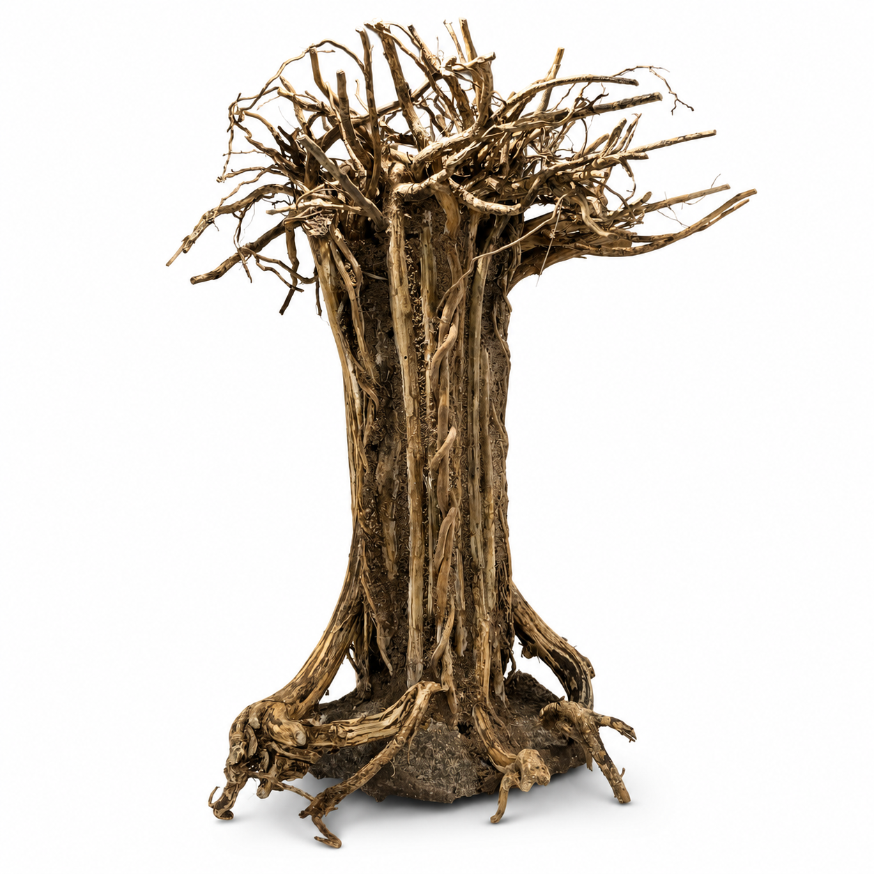 Plug & Plant Layered Driftwood Tree Aquarium Terrarium Paludarium Moss Mount Aquascape Decor