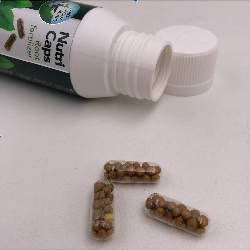 NutriCaps essential root fertilizer for beautiful aquarium plants by Colombo (10 capsules) - Slow release fertilizer