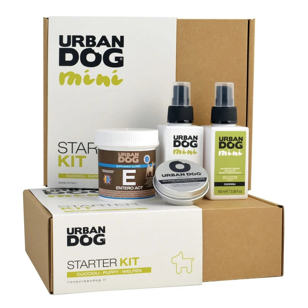 STARTER KIT MINI