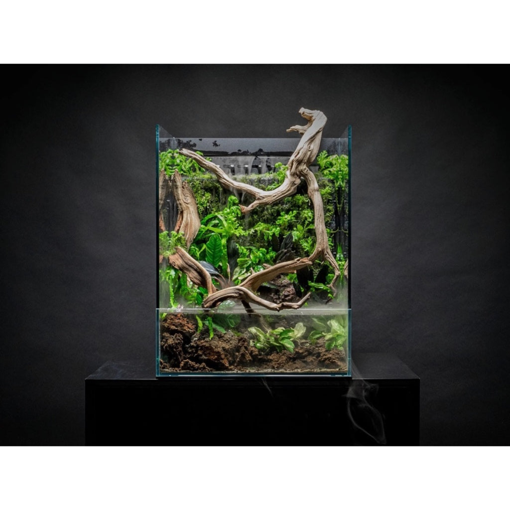 Ultum Nature Systems UNS Foresta Integrated Paludarium