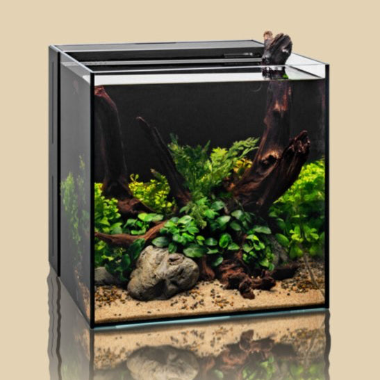Ultum Nature Systems UNS Dual All-In-One Tanks (IOS)