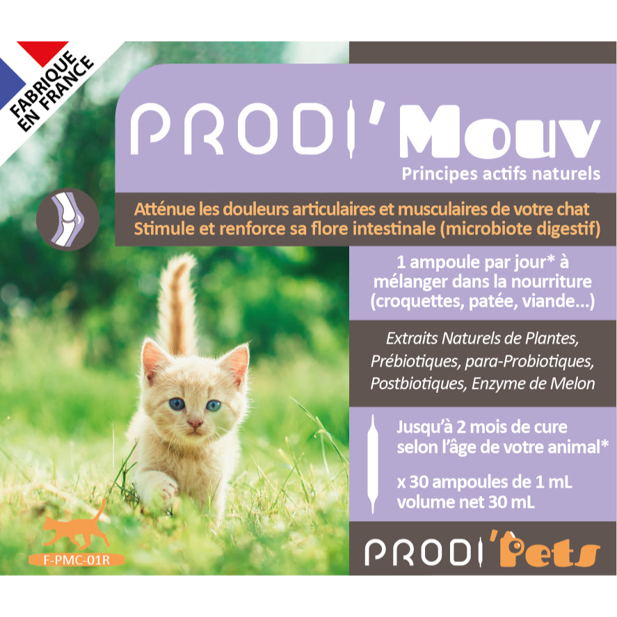 Prodi'Mouv Cat 30 vials – Probiotics And Plant Extracts Against Joint And Muscle Pain