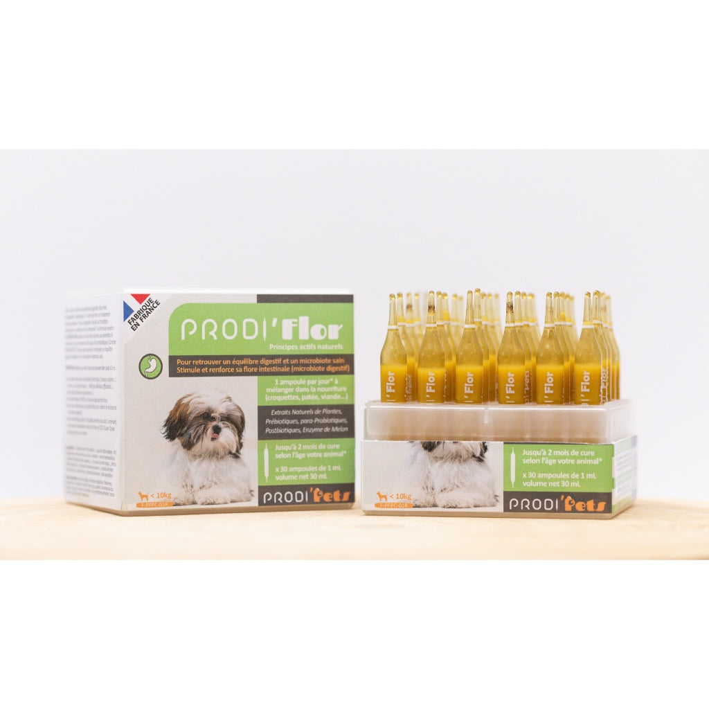 ProdiFlor Dog 30 vials - Probiotics And Plant Extracts For Intestinal Flora And Immunity