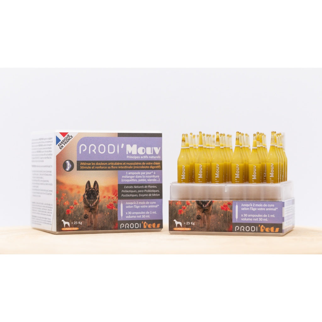 ProdiMouv 30 vials - Probiotics And Plant Extracts Against Joint And Muscle Pain