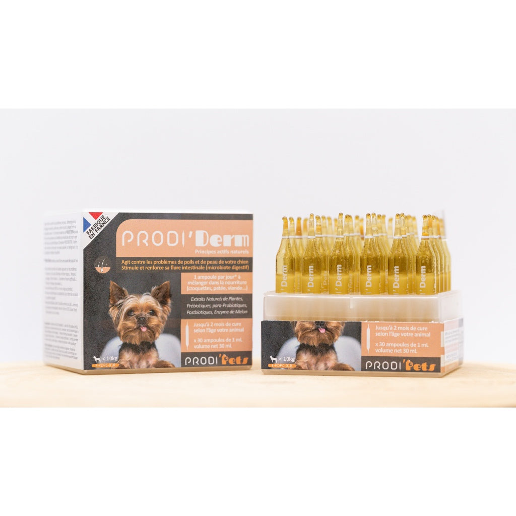 ProdiDerm Dog 30 vials - Probiotics and Plant Extracts for Skin and Hair