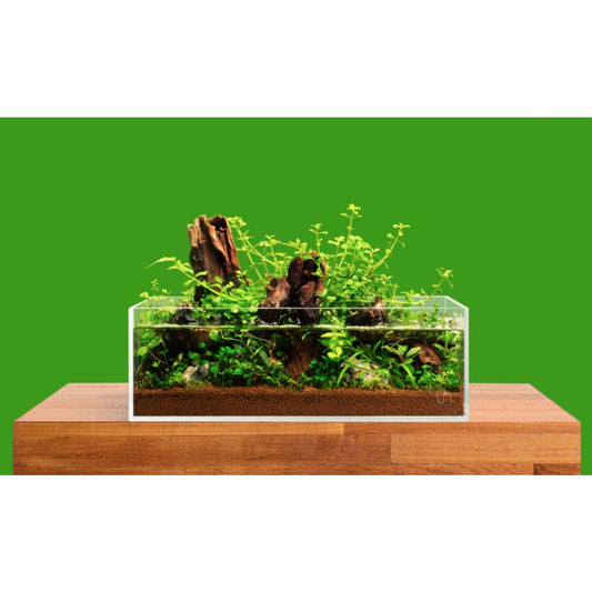 Ultum Nature Systems UNS Shallow Ultra Clear Rimless Tank