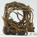 Small Loop "Plug and Plant" Scaping. Stunning aquascape collection for easy aquarium setup.