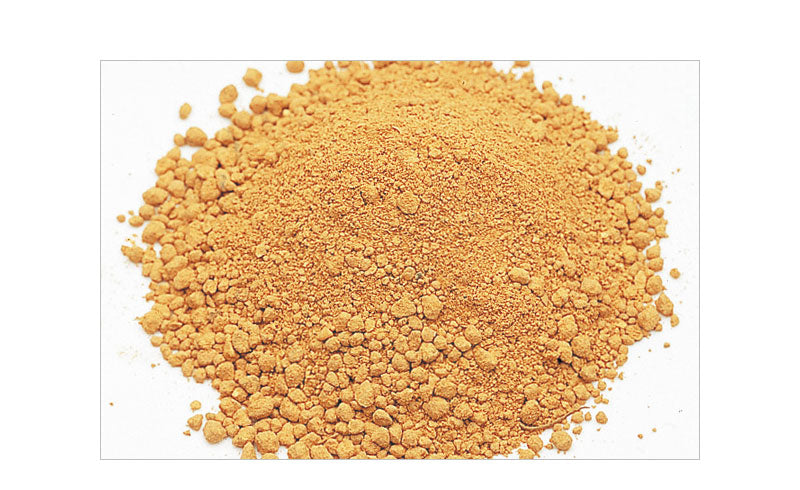 ADA Bacter 100 (100g)
