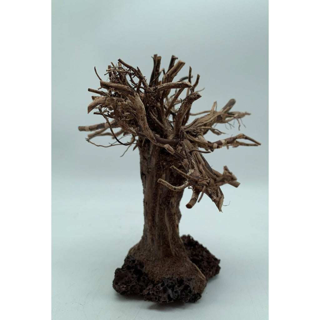 Small Bonsai Driftwood Aquarium Tree on Rocks