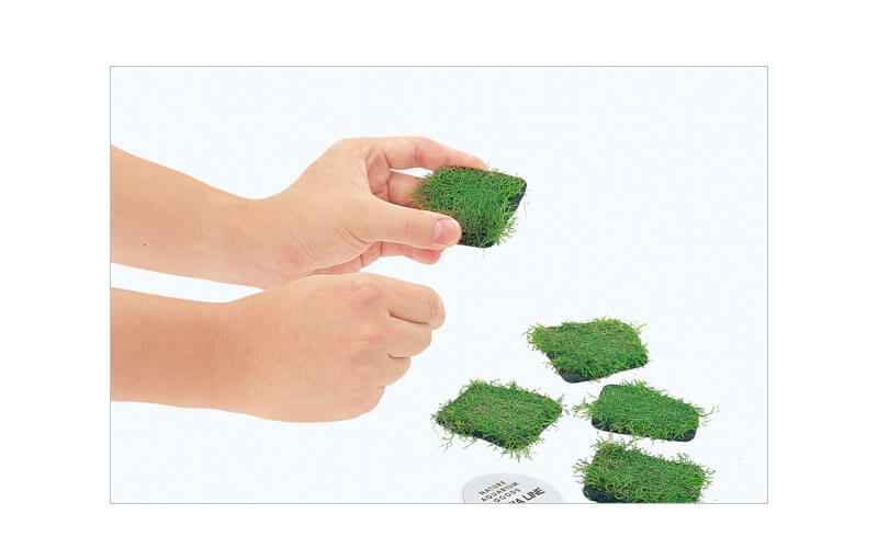 ADA Riccia Stone 10pc