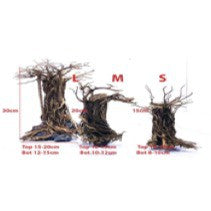 Large Tree "Plug and Plant" Scaping. Stunning aquascape collection for easy aquarium setup.