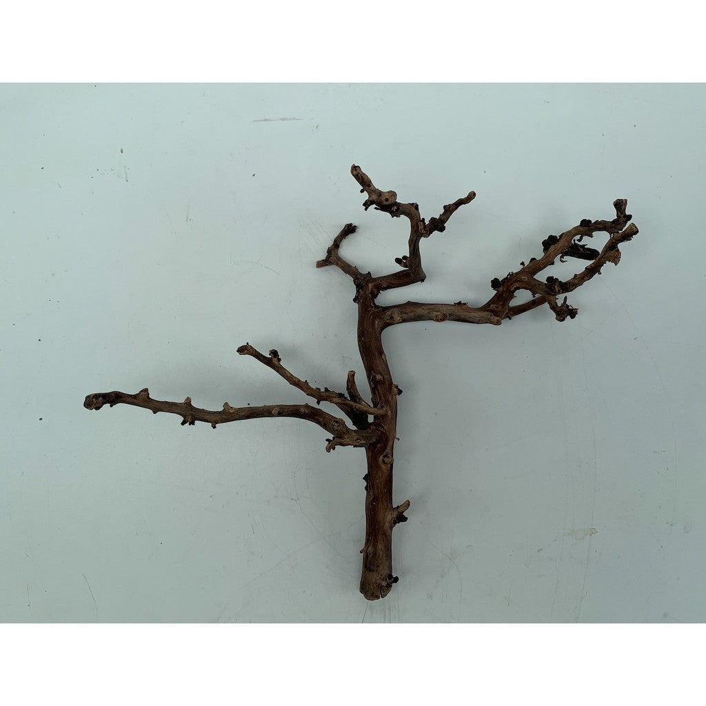 Picturesque Natural Wood Tree Trunk Drift Wood for Aquarium Aquascaping