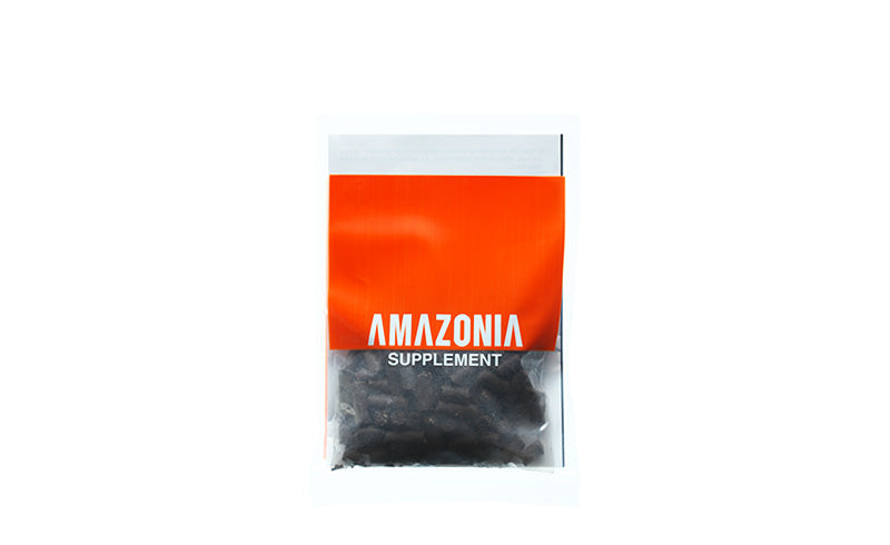 ADA Aquasoil Amazonia Ver.2