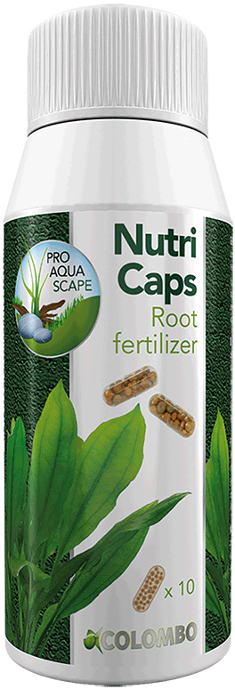 NutriCaps essential root fertilizer for beautiful aquarium plants by Colombo (10 capsules) - Slow release fertilizer