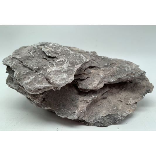 Seiryu rock for Aquascaping/ Hardscape / Iwagumi Aquarium by Aquatic Farmer