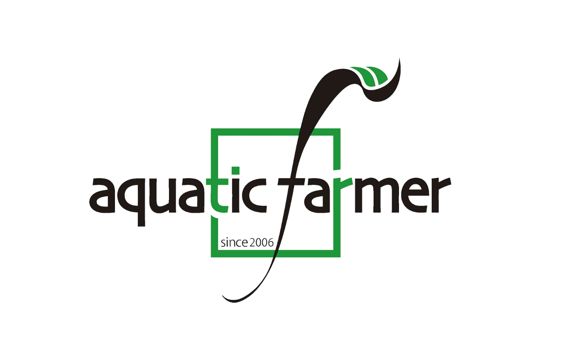 Dragon rocks mixture of 10-30cm sizes (5kg) by Aquatic Farmer