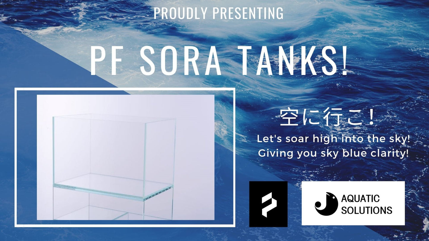 PF Sora High Grade Crystal Aquarium Tanks (With Tank Mat)