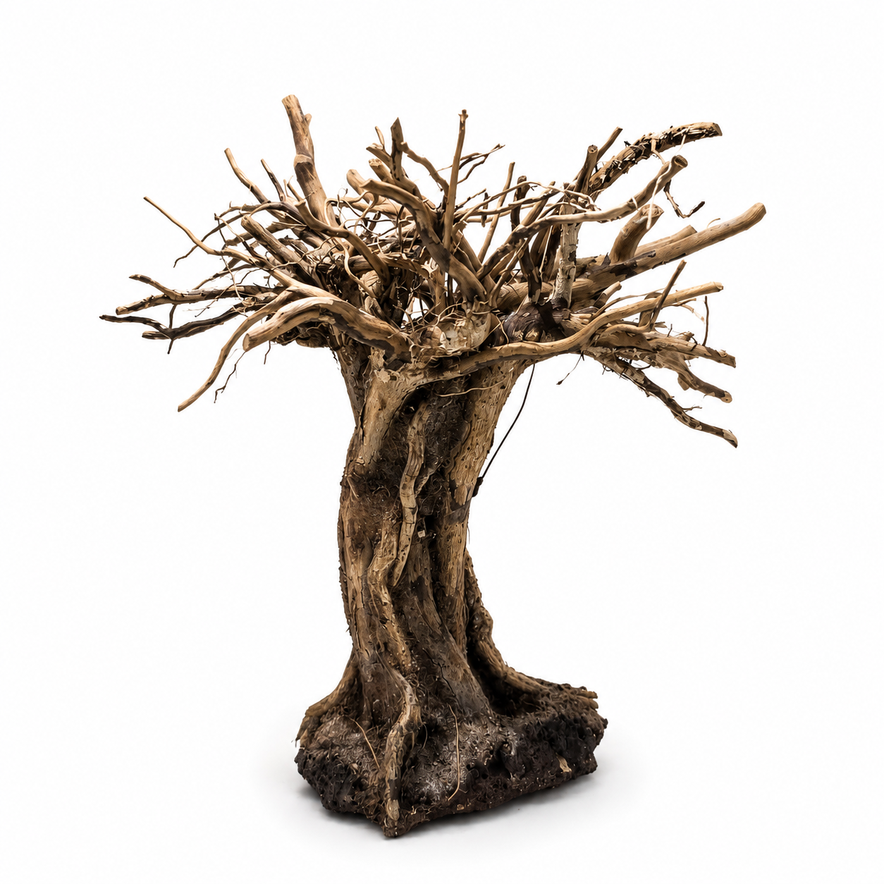 Plug & Plant Layered Driftwood Tree Aquarium Terrarium Paludarium Moss Mount Aquascape Decor