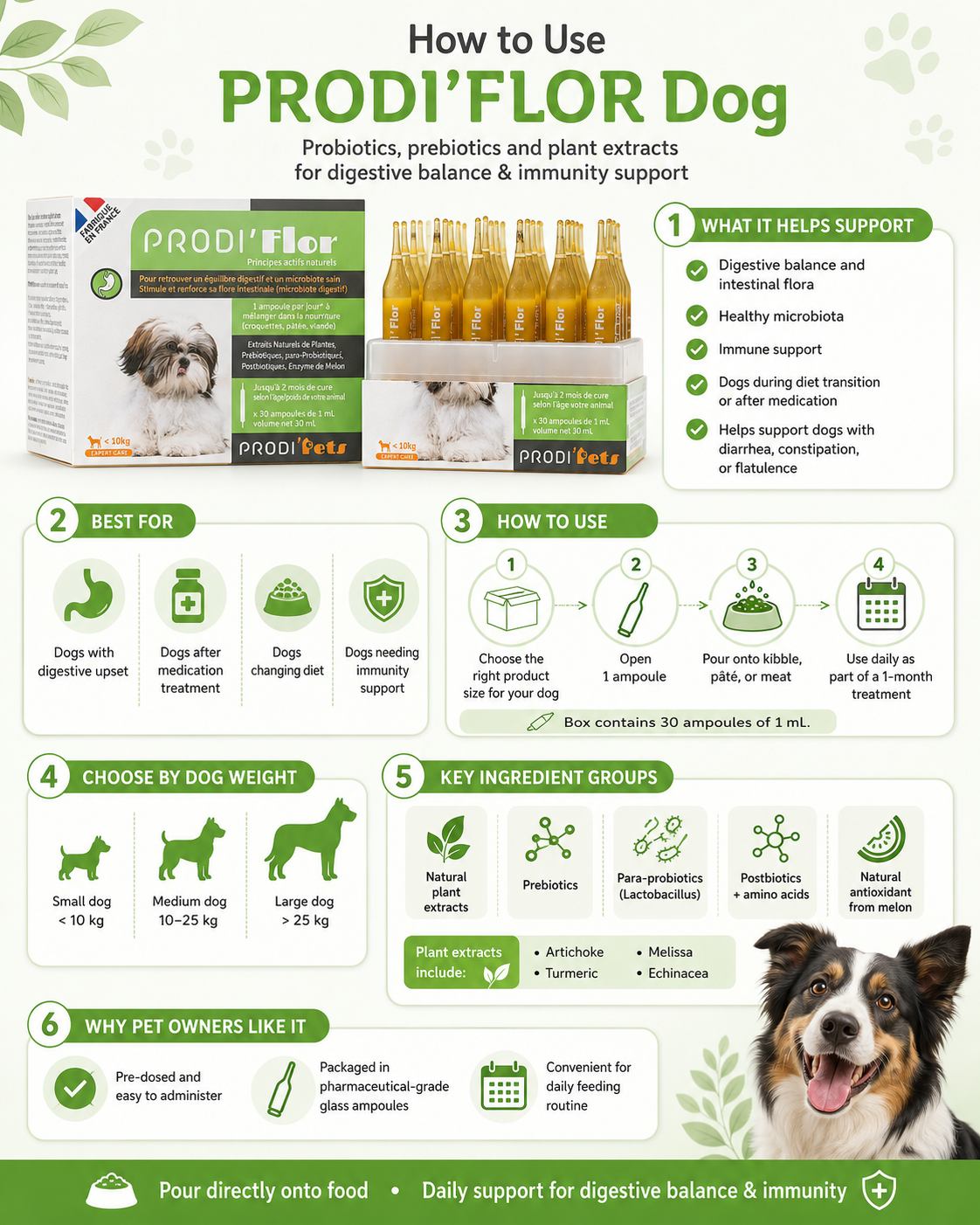 ProdiFlor Dog 30 vials - Probiotics, Prebiotic and Enzymes +  Intestinal Flora And Immunity Supplement- 4 in 1 ( 100 % Plant Extracts )