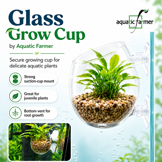 Glass Grow Cup by Aquatic Farmer