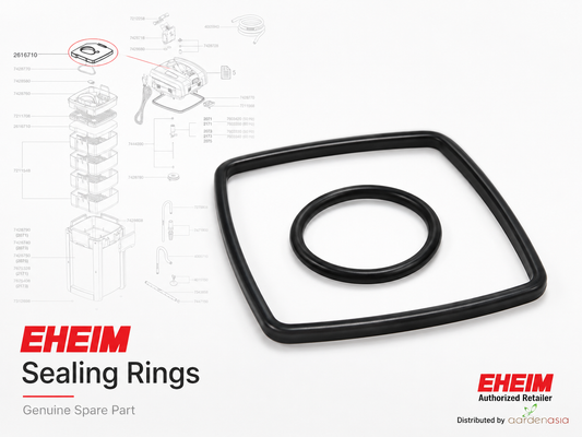 EHEIM Sealing rings for professionel 3 250/350/600, professionel 4+ 250/350/600, professionel 5e 350