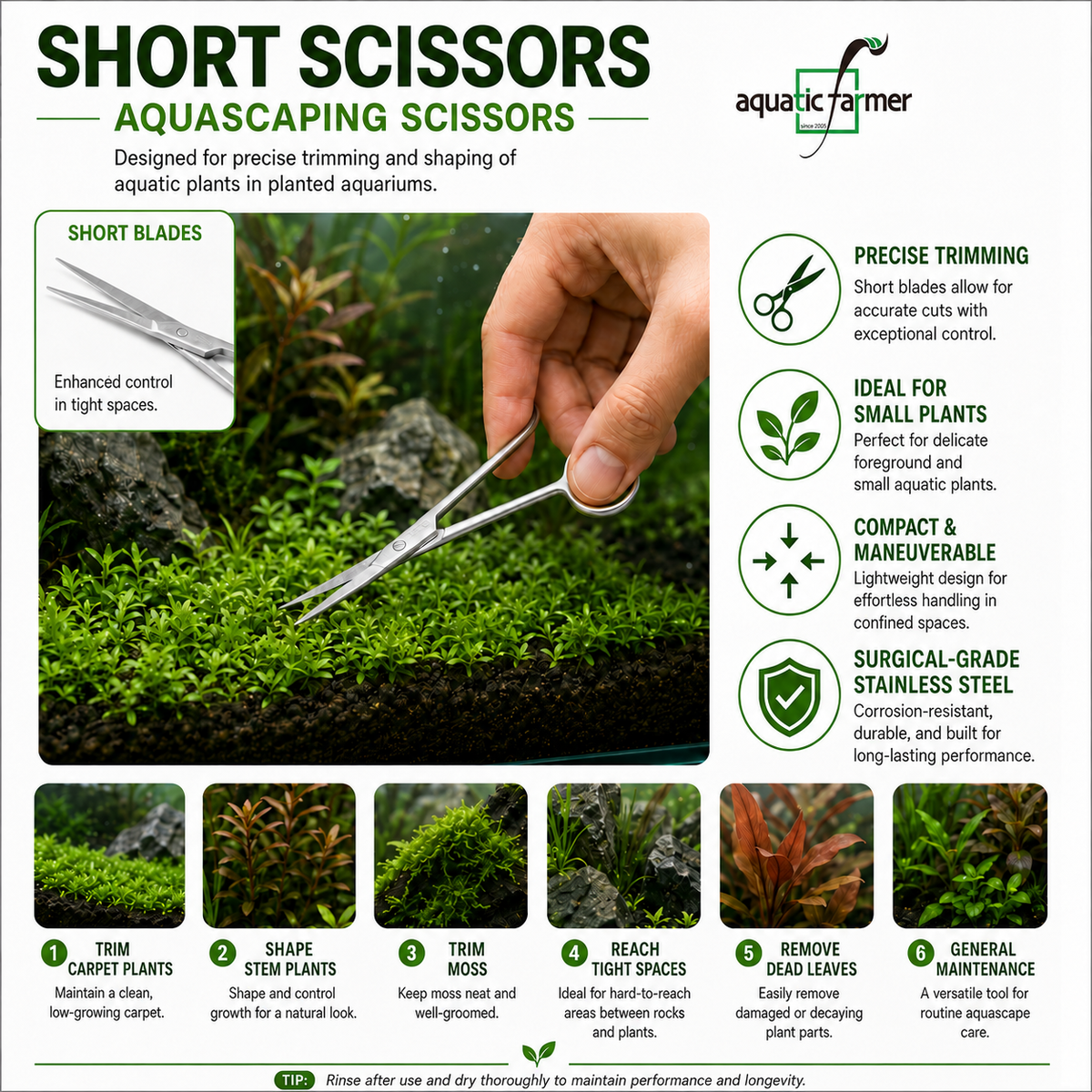 Short Scissors by Aquatic Farmer - Stainless Steel Aquascaping Tools 2.0 (Surgical Grade)