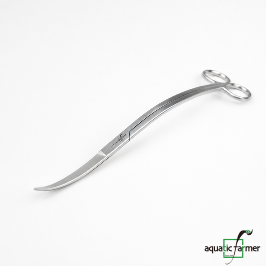 Wave scissors (25cm) by Aquatic Farmer - Stainless Steel Aquascaping Tools 2.0 (Surgical Grade)