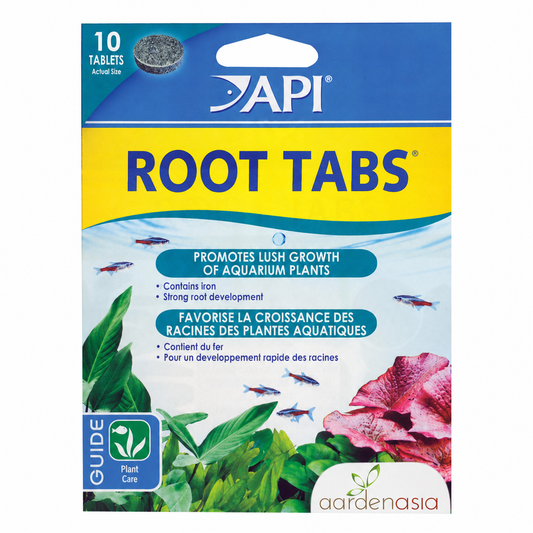 API Root Tabs