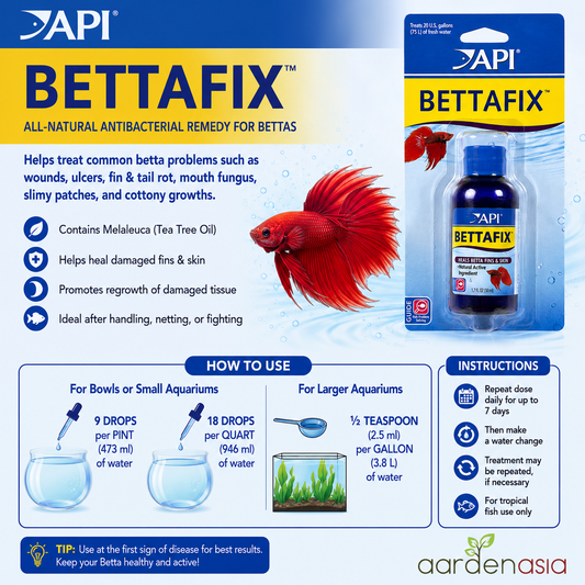 API BettaFix
