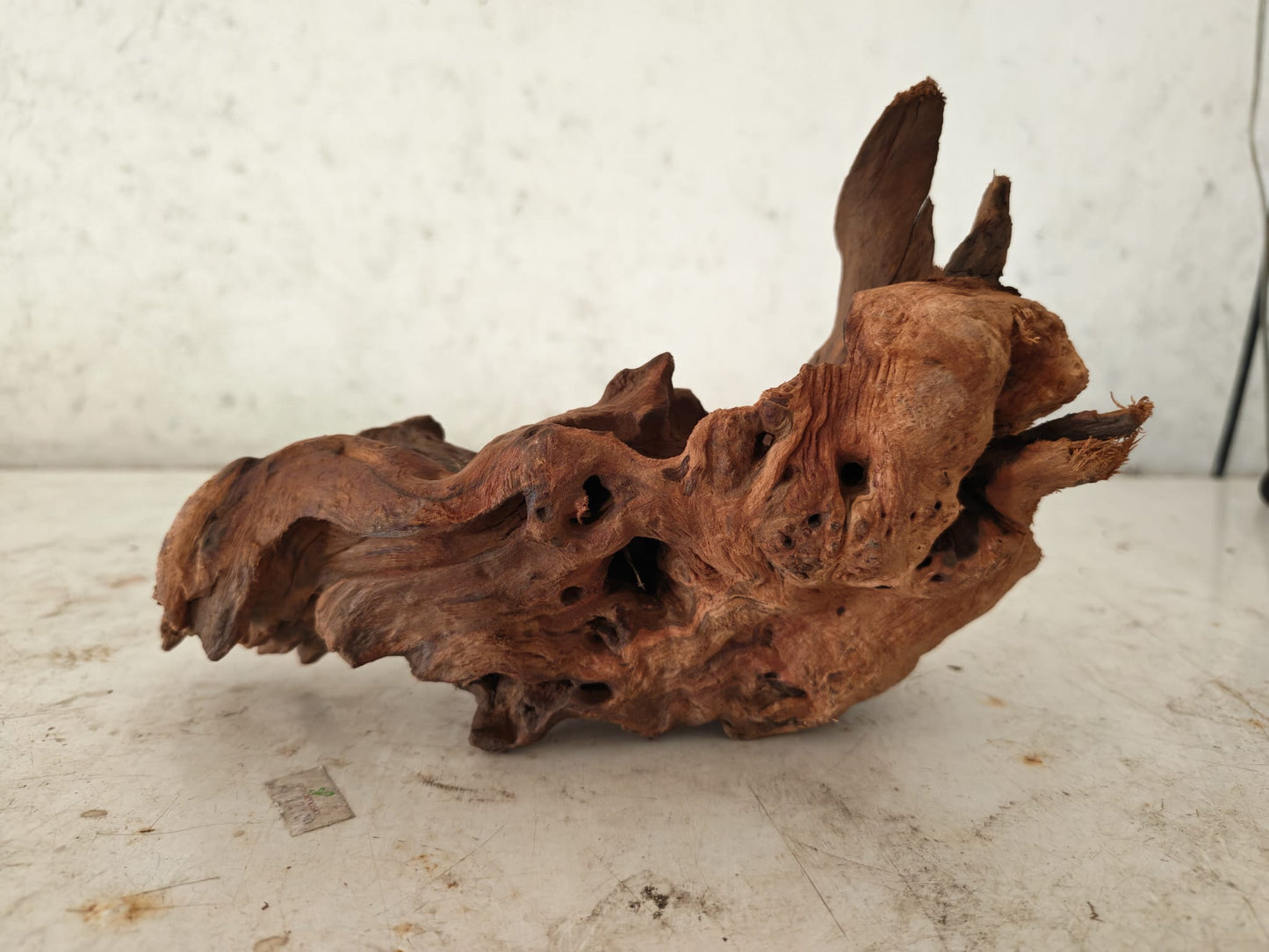 Aquatic Farmer Hardscape Malayan Driftwood - random select 15-25cm size