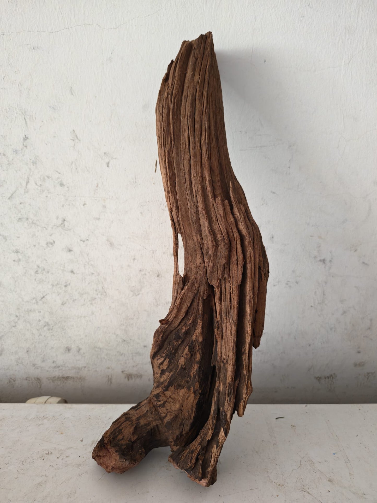 Aquatic Farmer Hardscape Malayan Driftwood - random select 15-25cm size