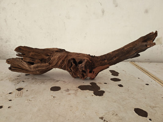 Aquatic Farmer Hardscape Malayan Driftwood - random select 15-25cm size