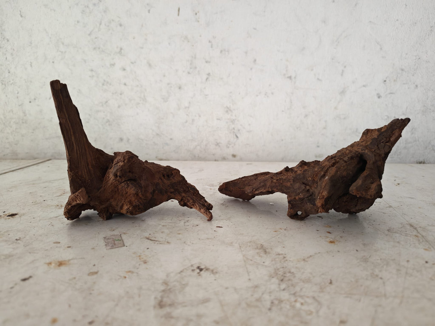 Aquatic Farmer Hardscape Malayan Driftwood - random select 15-25cm size