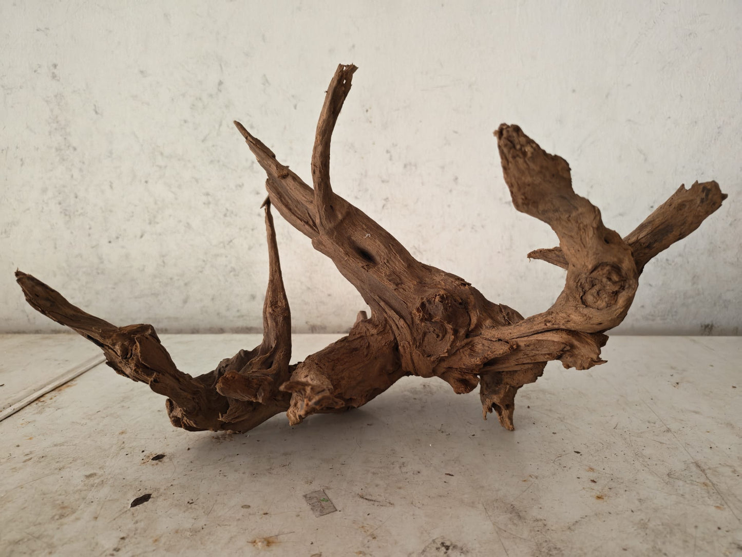 Aquatic Farmer Hardscape Malayan Driftwood - random select 15-25cm size