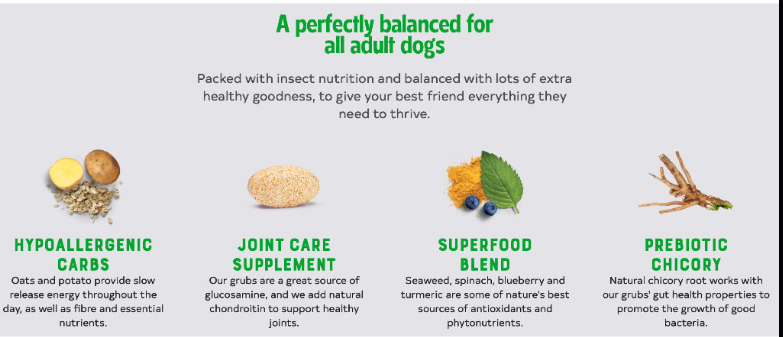 YORA Dog Insect Protein SuperFood Adult Grain Free 1.5Kg