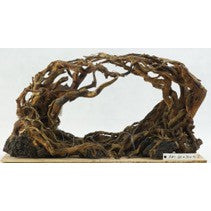 Large Loop "Plug and Plant" Scaping. Stunning aquascape collection for easy aquarium setup.