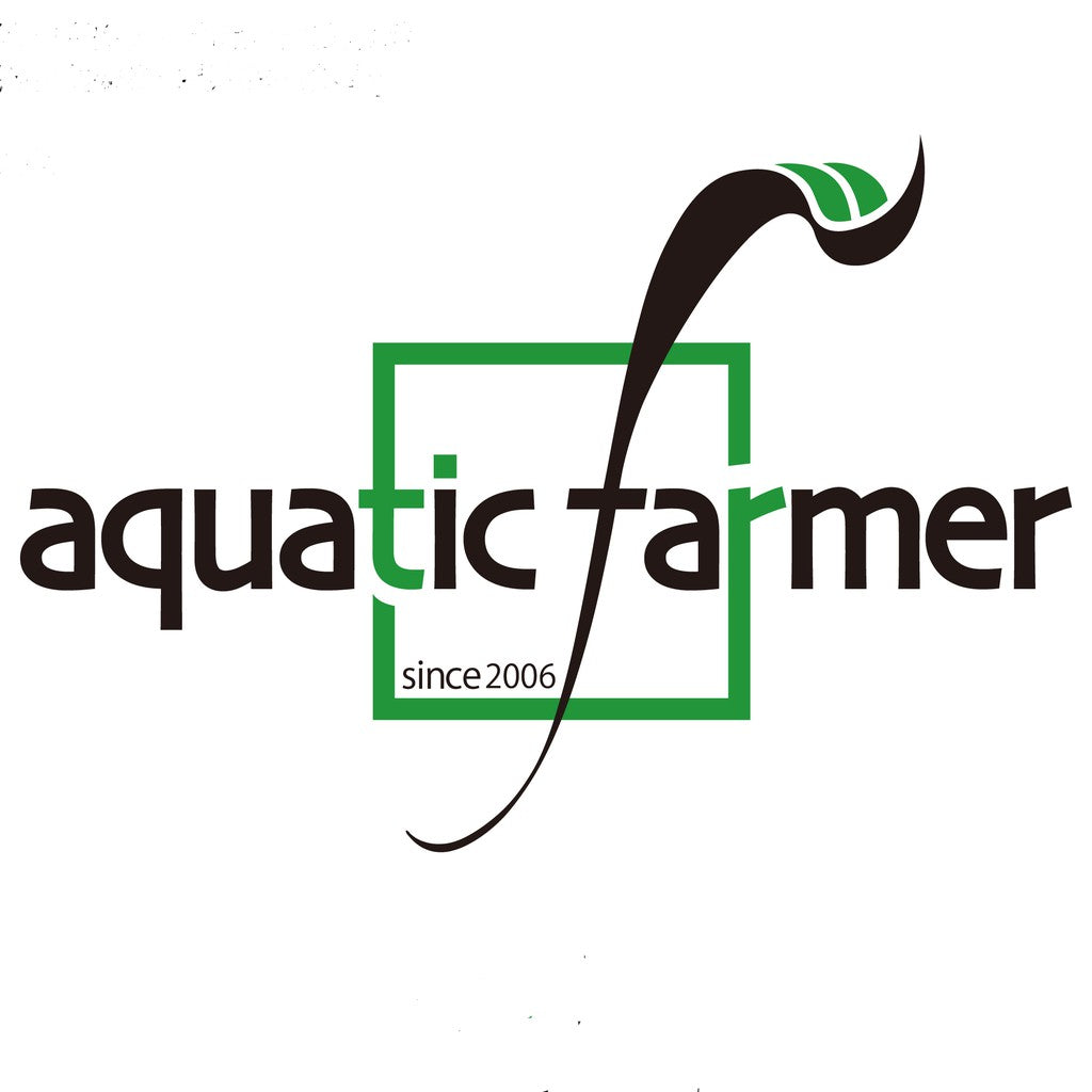 Short Scissors by Aquatic Farmer - Stainless Steel Aquascaping Tools 2.0 (Surgical Grade)