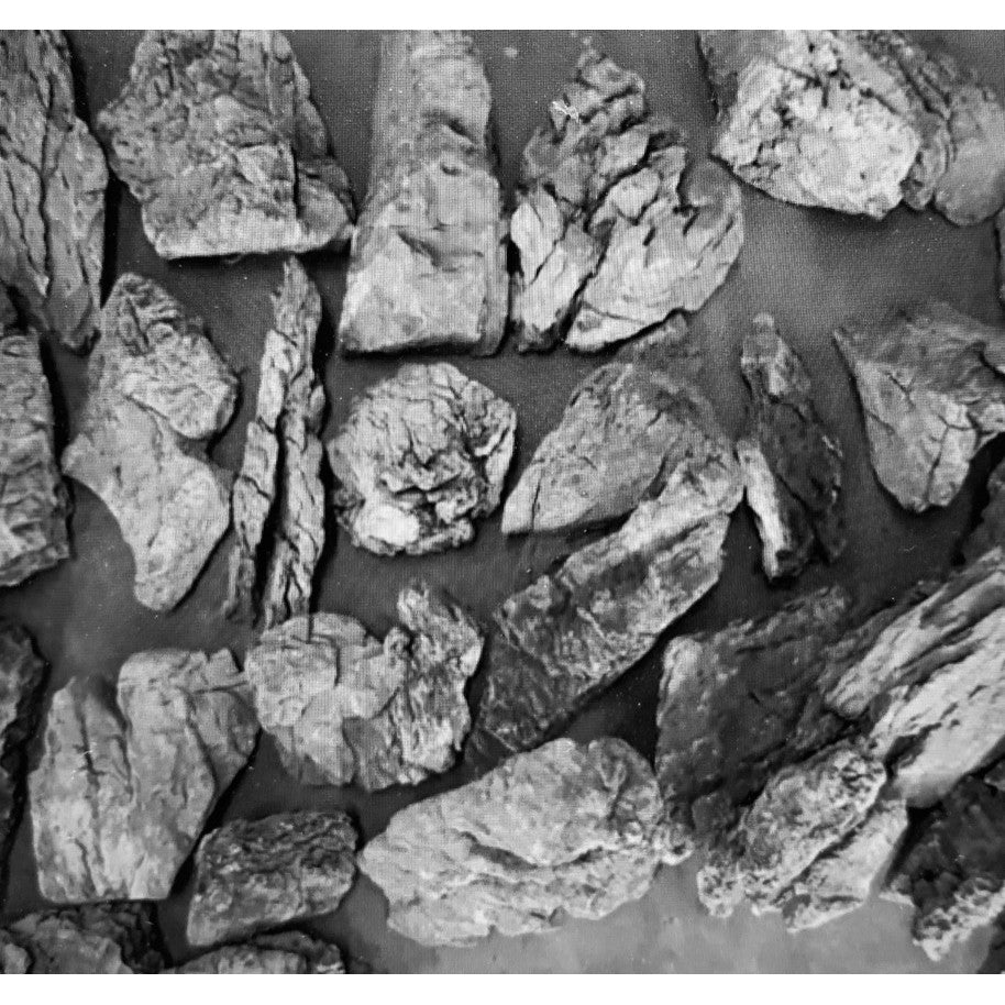 Seiryu rock for Aquascaping/ Hardscape / Iwagumi Aquarium by Aquatic Farmer