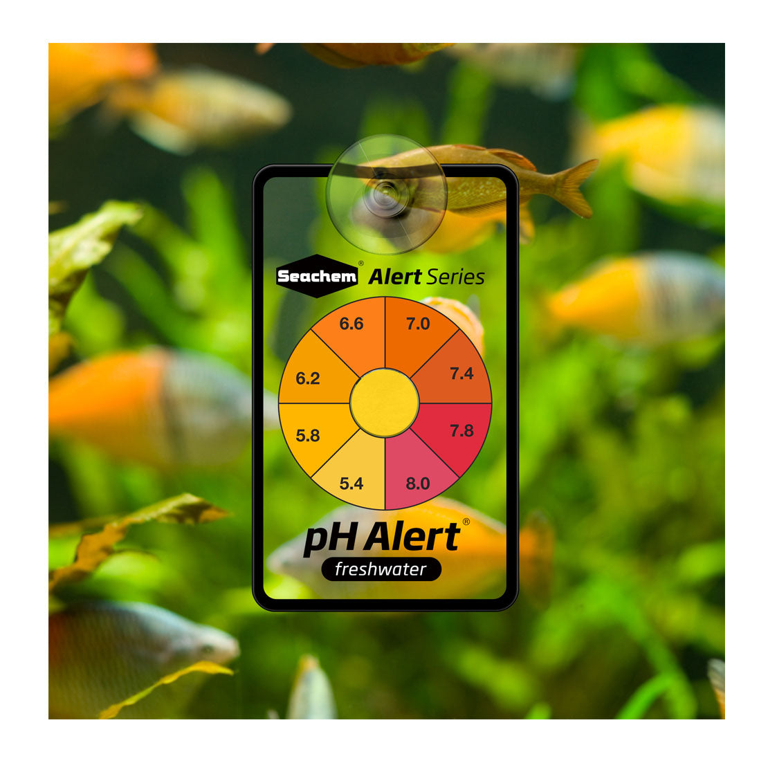 SEACHEM Alert Combo Pack (1 year pack and 6 month pack)