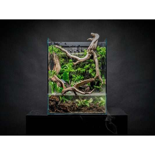 Ultum Nature Systems UNS Foresta Integrated Paludarium