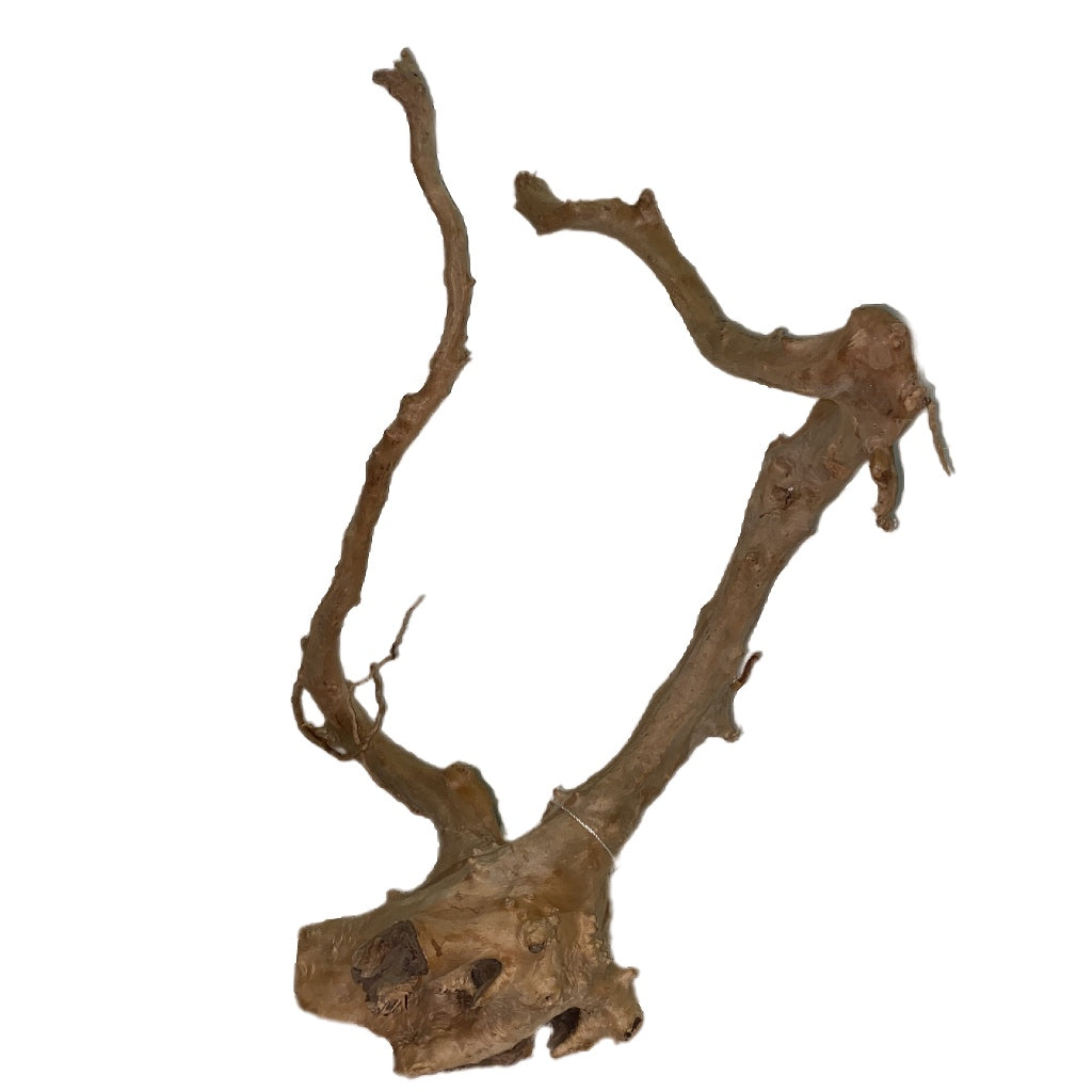 Aquatic Farmer Hardscape Tree Driftwood - random select 30-50cm size