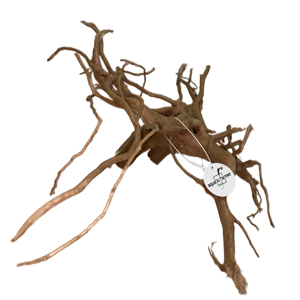 Aquatic Farmer Hardscape Tree Driftwood - random select 30-50cm size