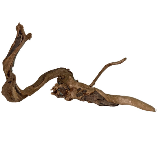 Aquatic Farmer Hardscape Tree Driftwood - random select 30-50cm size