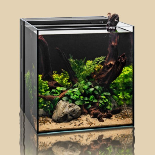 Ultum Nature Systems UNS Dual All-In-One Tanks (IOS)