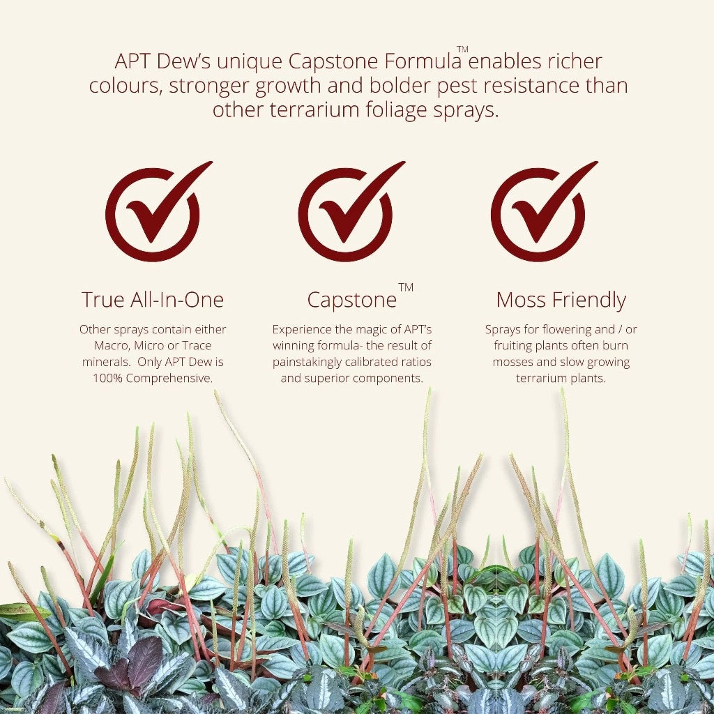 The 2HR Aquarist APT Dew Foliar Spray (100ml/300ml)