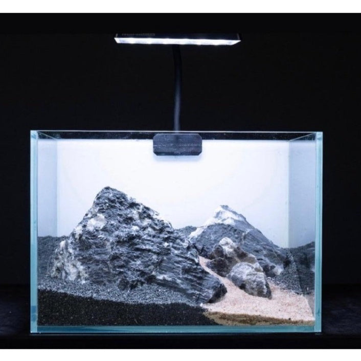 Aquascape and Fish Tank Setup Service