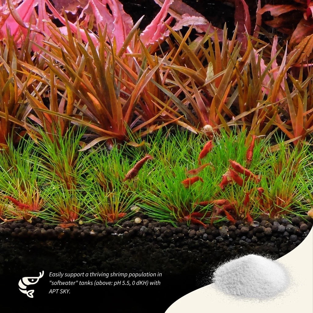 The 2HR Aquarist APT Sky Water Remineralizer (150g, 800g)